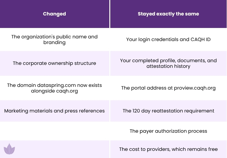 what changed after the rebrand and what did not